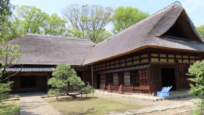 花散歩・一之江名主屋敷