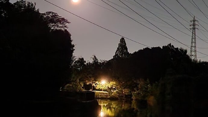 仲秋の夜の散歩