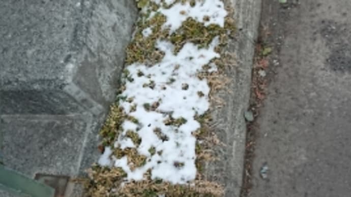 版画の1日。。