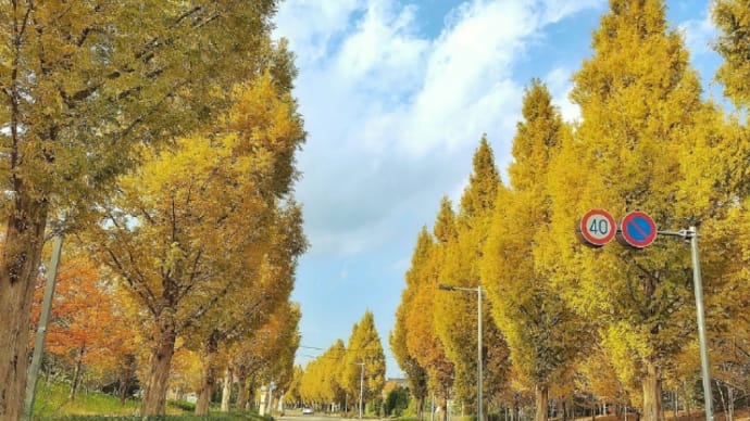 紅葉の街へ…2023