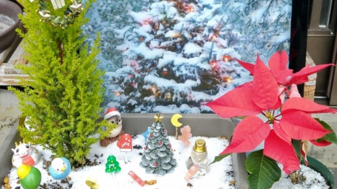 もうすぐクリスマス♪
