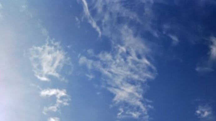★天高く晴れた日に冬支度。。。