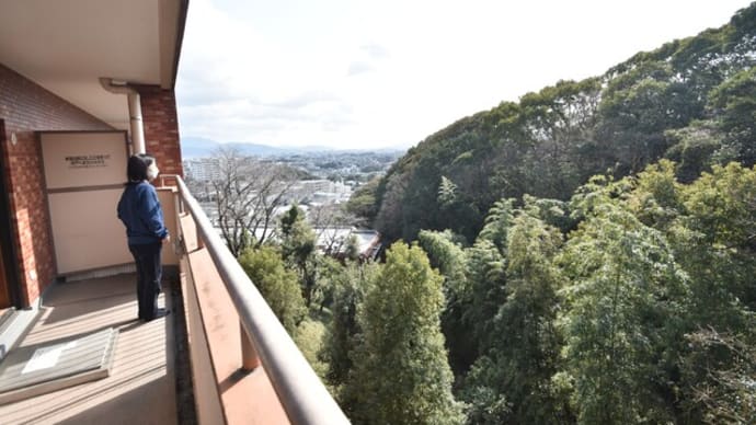 窓の景色にしばし手をとめる。