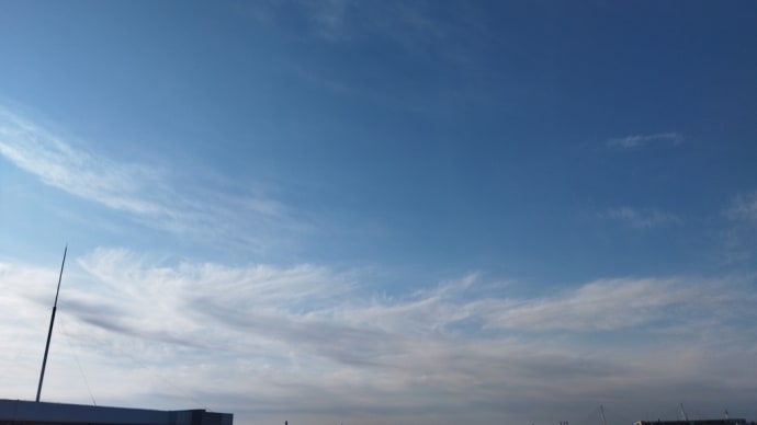 ちょっと面倒くさい話といつものトカゲ+α