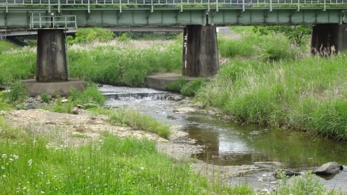初夏の越生町越辺川