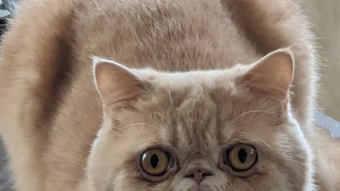 我家の主…😅