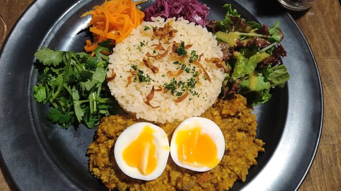 本日のランチ
