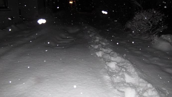 2011/02/14（月）：南岸低気圧発達・太平洋側大雪ですね。