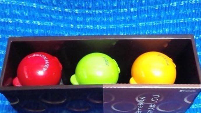 イノマタ化学/マグネットポケット、調味料入れにしたんだね:D
