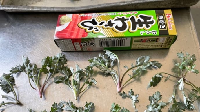 草餅作ったよー