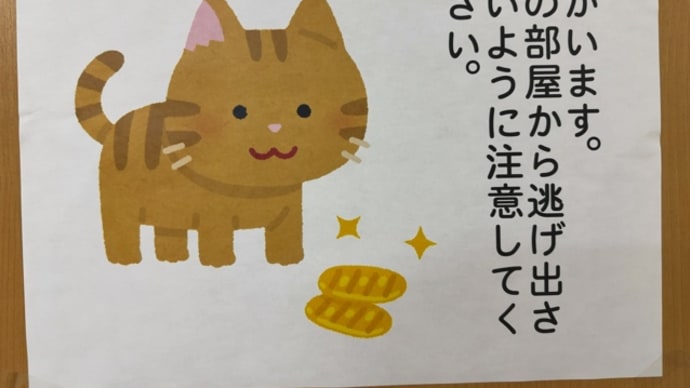 猫部屋の注意書き