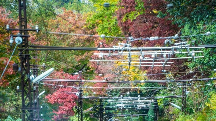 【番外編】京都奈良・紅葉の旅2024 ② 《嵐山‐高雄パークウエイ〜比叡山 編》