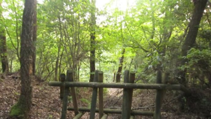 小谷城跡(2)