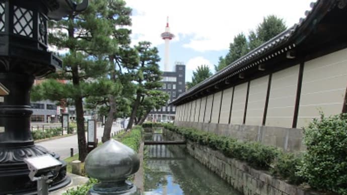 心が和んだ
