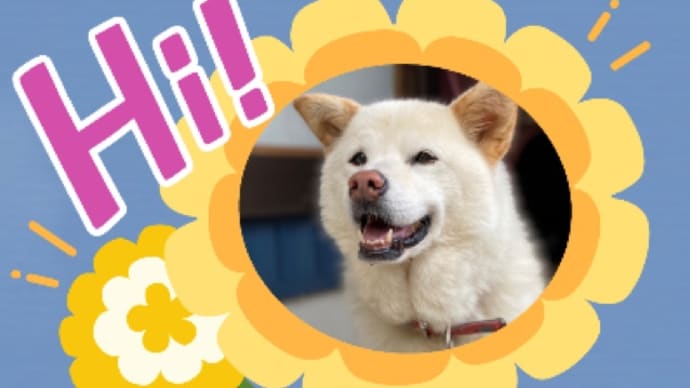 ソーハード ベリータイアド ♪