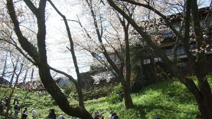 奈良へ２泊３日　吉野山其の一