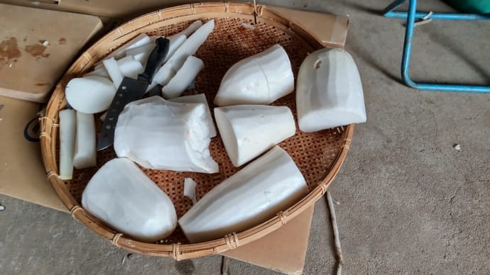 切干大根