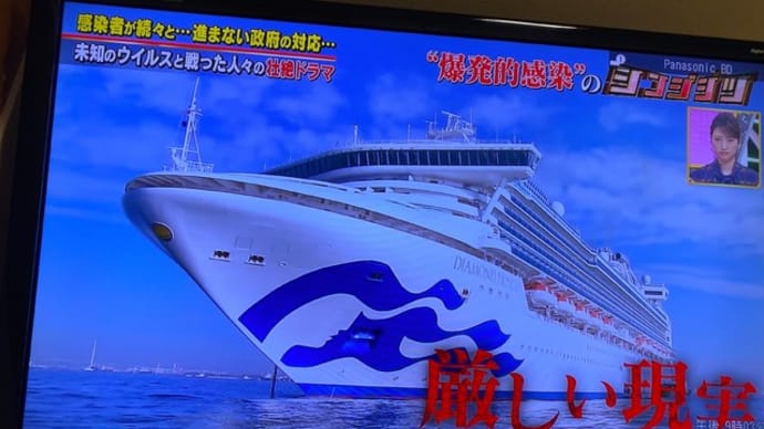 シンジジツ ダイアモンドプリンセス