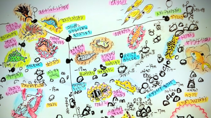 石橋最新生物事情2023/02/28[w/map]