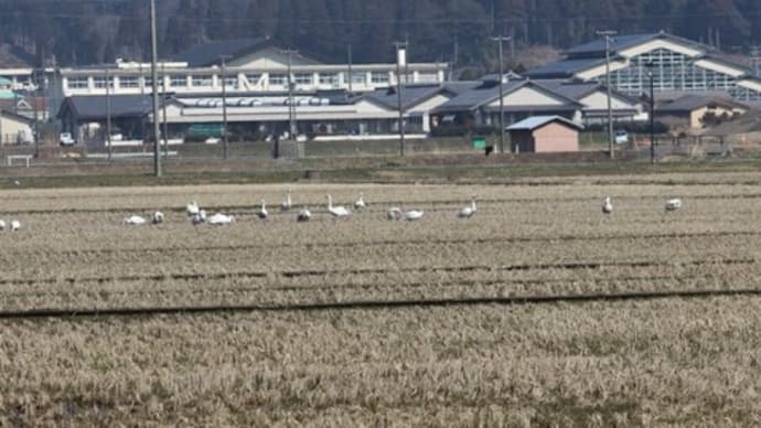 冬の終わり