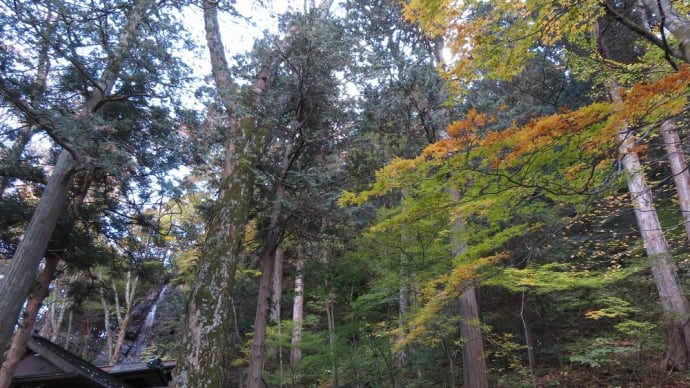 旭乃瀧 木曽町南宮神社境内
