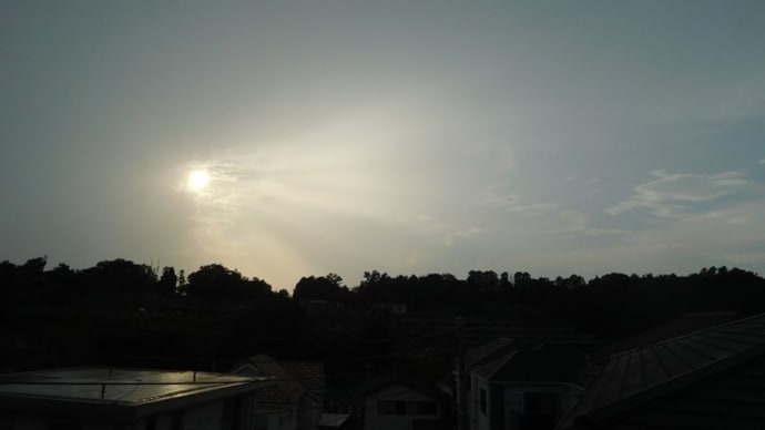 昨日の夕景 今朝の*風知草