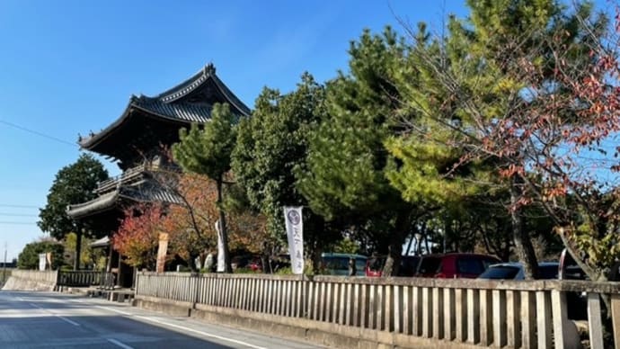 大樹寺に行ってきました