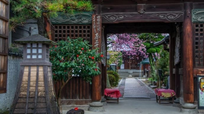 儀光寺　（ぎこうじ）へ