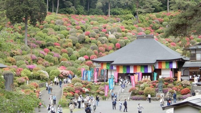 塩船観音寺（つつじ祭り中に気をつけること）