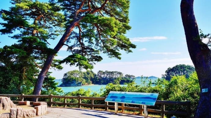 東北の旅日記 最初は松島