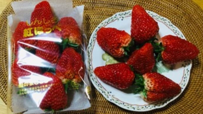 お土産イチゴ