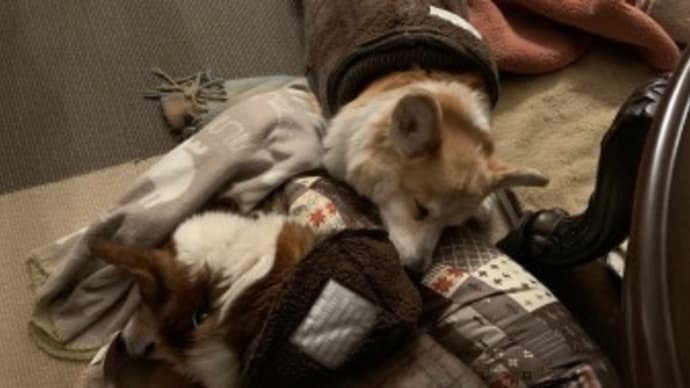 いったいなんなんだよっ(怒)