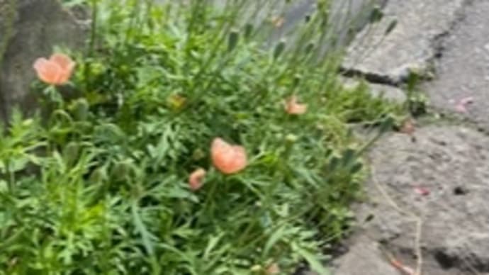 音量が小さくなった…