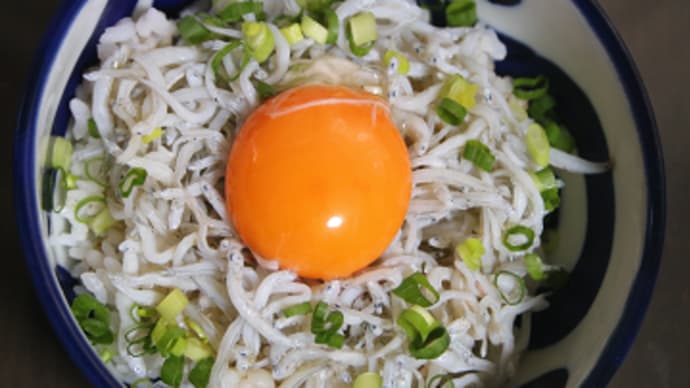 5月21日 しらす丼