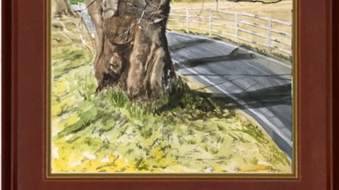 暇爺絵日記 令和2年1月24日 「桂川老桜」
