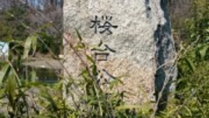 2017・4・4  家から一番近いお花見スポットは桜台公園(^^)もちろん無名です(^^ゞ