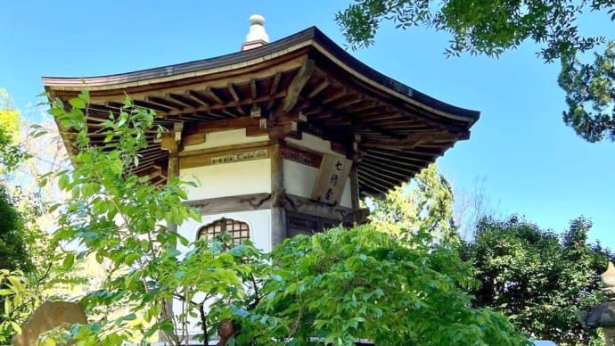 中村党を追ってみる 土肥氏館跡 城願寺