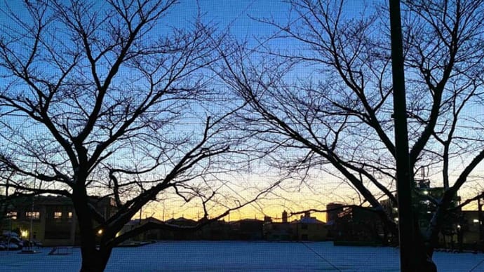 脳の休息から4日目、英語学習の落とし穴から脱出‼︎
