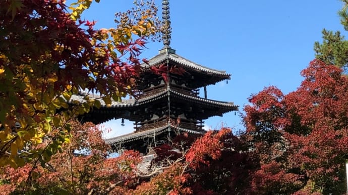 秋はリフォームも、旅もベストシーズン!