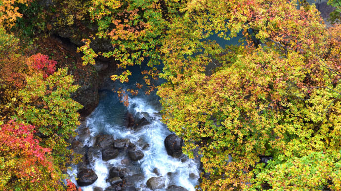 東北の紅葉旅 10 (八幡平・松川渓谷〜地熱発電所〜樹海ライン)