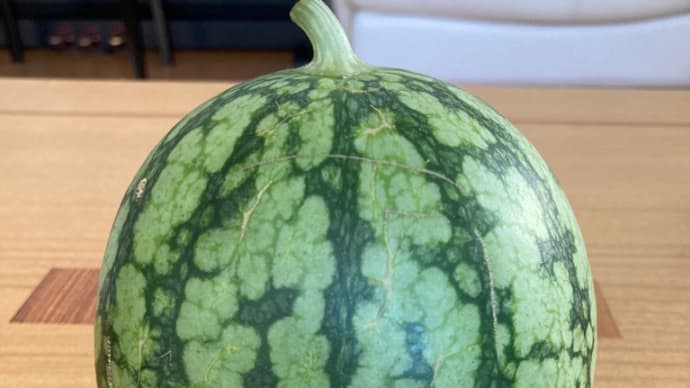 二つ目、できました🍉