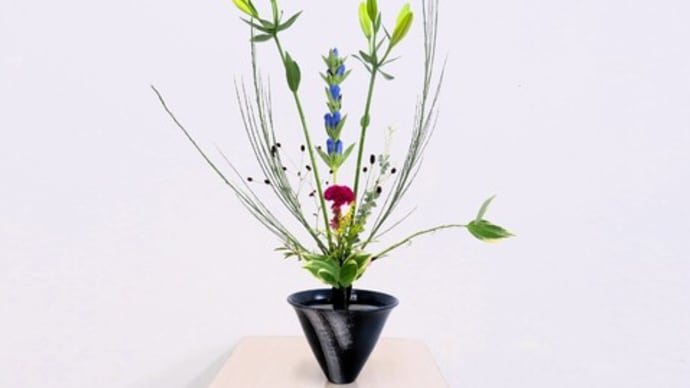 線を生かすエニシダとスカシユリのワレモコウ・・立花