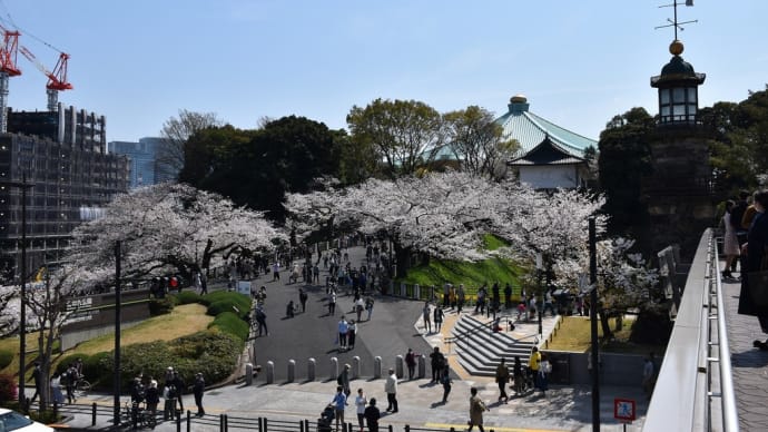 さくら狩り 東京都千代田区 北の丸公園(1)桜の間に武道館のたまねぎ