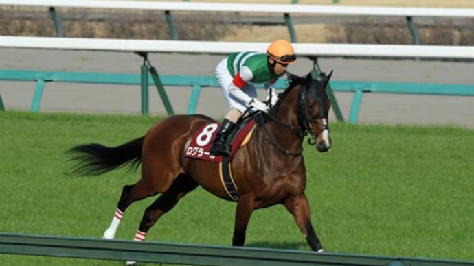 中山競馬場遠征記スプリングS編
