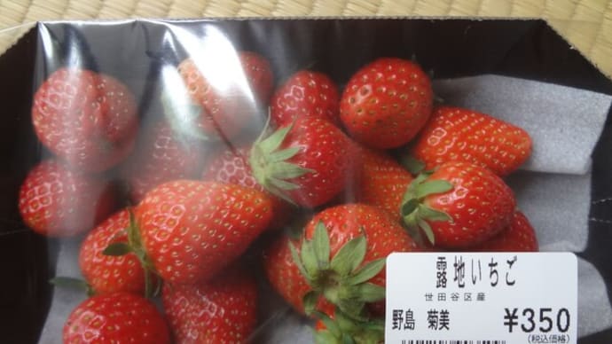 いちごの旬は今。貴重な露地いちご入手