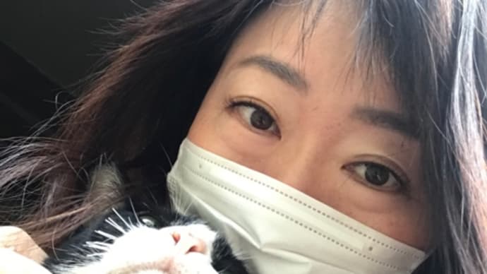風邪気味な朝。