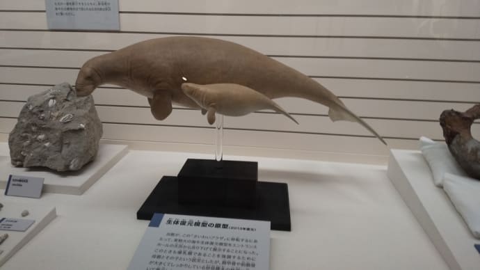8月1日