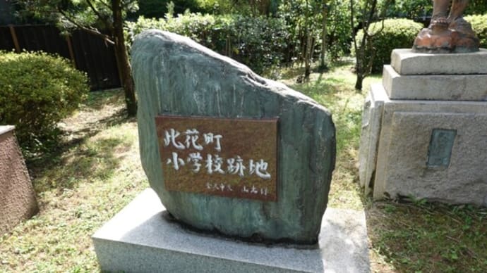 散歩写真 660