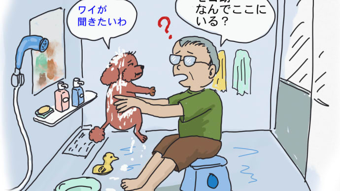 ちょっとヤバい?