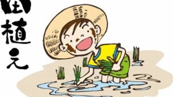 お米で思う・・・